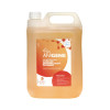 Anigene Professional Disinfectant Cleaner Citrus 5Ltr
